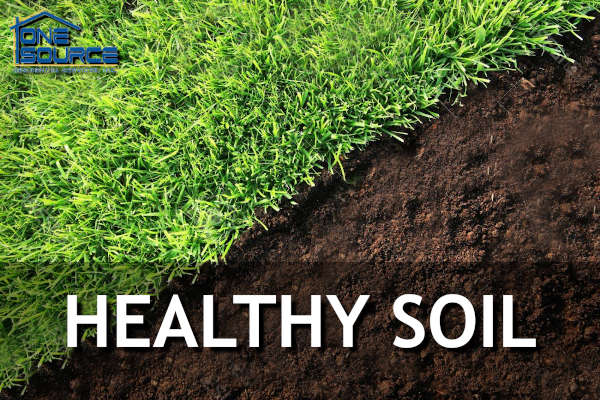 Healthy Soil for The Woodlands Lawns
