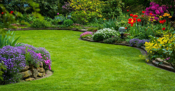 May-flowers-Texas-landscaping