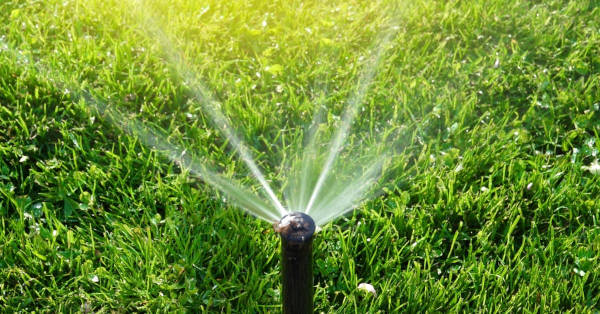 lawn-care-watering-year-round
