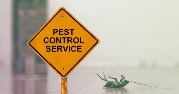 pest-control-Texas-summers