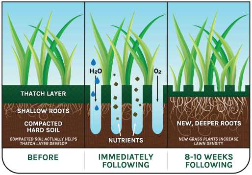 Aeration Diagram