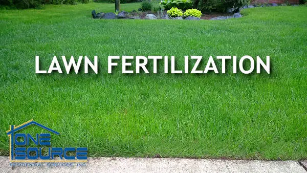 The Woodlands Lawn Fertilization