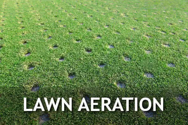 Local Lawn Aeration